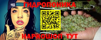 стаф Каменск-Уральский