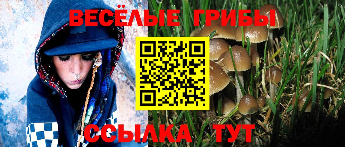 Псилоцибиновые грибы Psilocybine cubensis  Вход с VPN  Владикавказ  Псилоцибиновые грибы MAGIC MUSHROOMS 